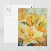 Gedistilleerd zonlicht briefkaart (Voorkant / Achterkant)