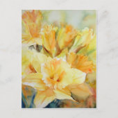 Gedistilleerd zonlicht briefkaart (Voorkant)