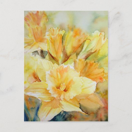 Gedistilleerd zonlicht briefkaart (Voorkant)