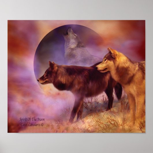 Gedistilleerde delen van het Poster van de Moon Wo (Voorkant)