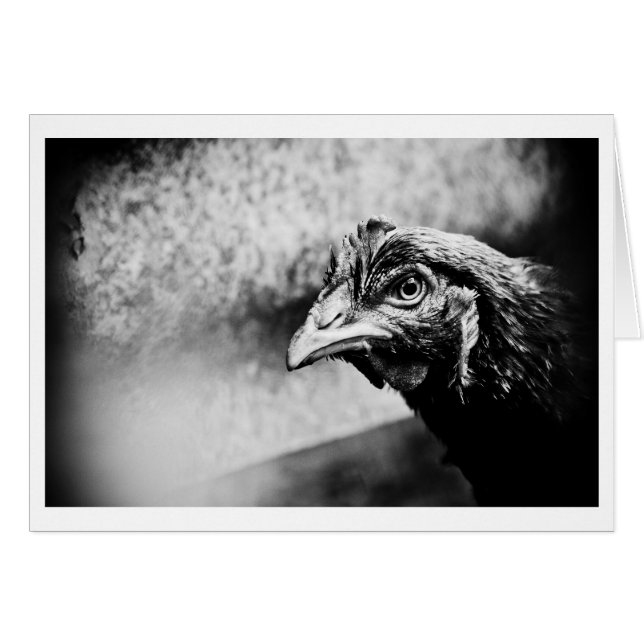 gedistilleerde dranken en kippen (Voorkant Horizontaal)