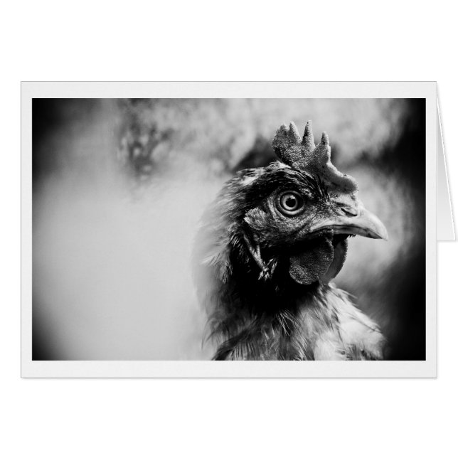 gedistilleerde dranken en kippen 2 (Voorkant Horizontaal)