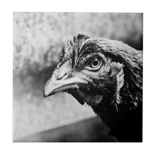 gedistilleerde dranken en kippen tegeltje (Voorkant)