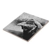 gedistilleerde dranken en kippen tegeltje (Zijkant)