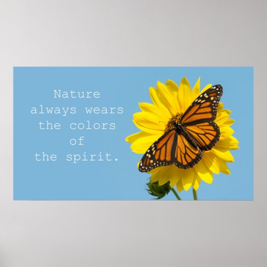 Gedistilleerde kleuren poster (Voorkant)