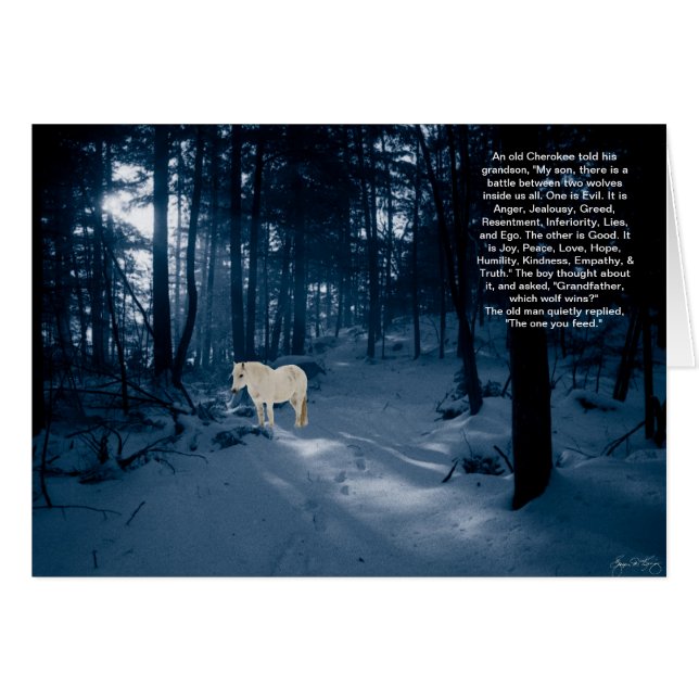 Gedistilleerde Pony in een blauw hout (Voorkant Horizontaal)