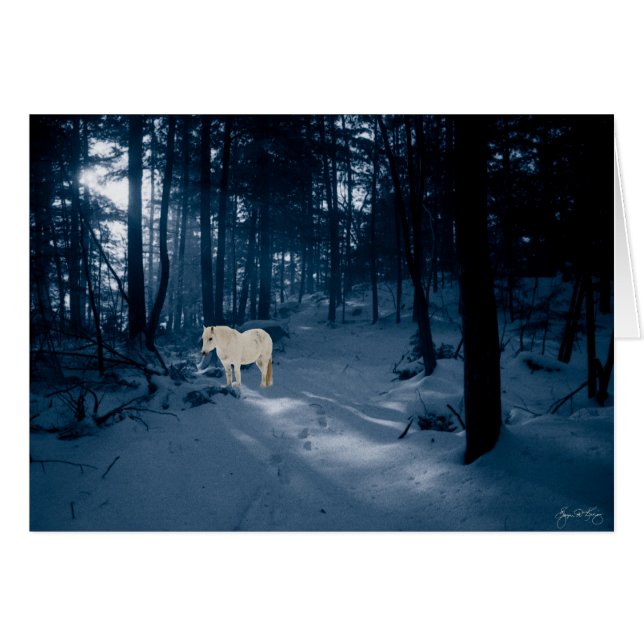 Gedistilleerde Pony in een blauw hout (Voorkant Horizontaal)