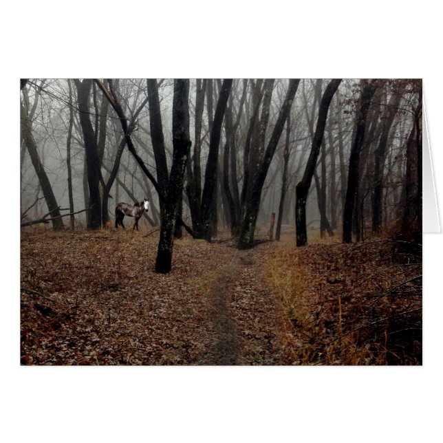 Gedistilleerde Pony in een gerangschikte houten ka (Voorkant Horizontaal)