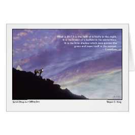 Gedistilleerde Pony in een gestelde Zon