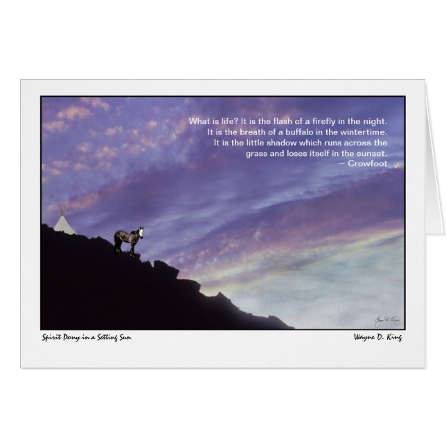 Gedistilleerde Pony in een gestelde Zon (Voorkant Horizontaal)