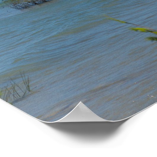 Gedockt bij makreel poster (Hoek)