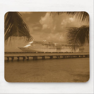 Gedokt in Cozumel Muismat