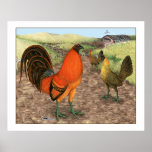 Gedomesticeerd gevogelte op de boerderij poster