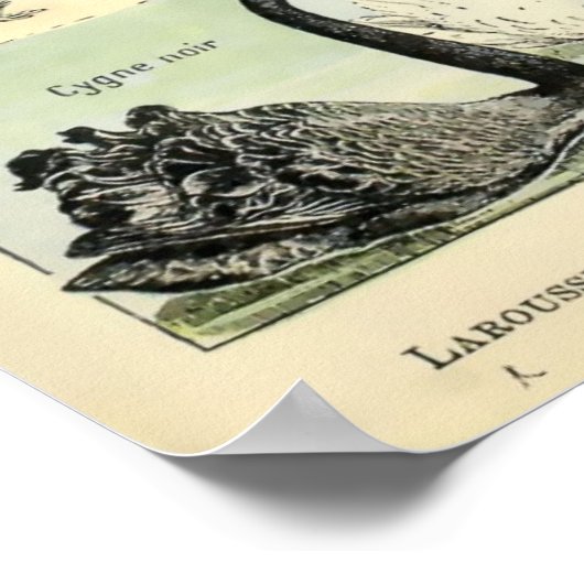  gedomesticeerde dieren door Adolphe Millot Poster (Hoek)