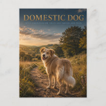 Gedomesticeerde hond plattelandspad DIEREN