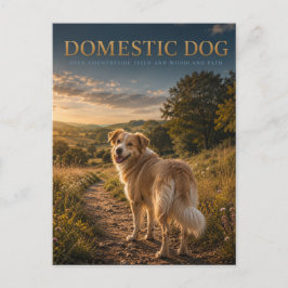 Gedomesticeerde hond plattelandspad DIEREN Briefkaart