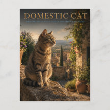 Gedomesticeerde kat tuin binnenplaats DIEREN