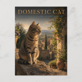 Gedomesticeerde kat tuin binnenplaats DIEREN Briefkaart