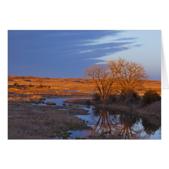Gedompeld in het licht van de zonsondergang de Cal (Voorkant Horizontaal)
