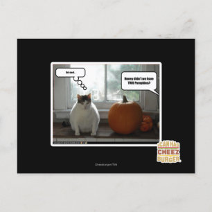 Gedraag je cool briefkaart