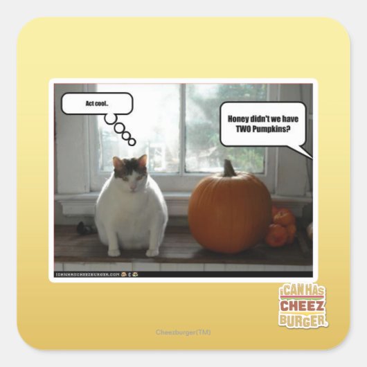 Gedraag je cool vierkante sticker (Voorkant)