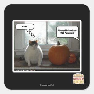 Gedraag je cool vierkante sticker