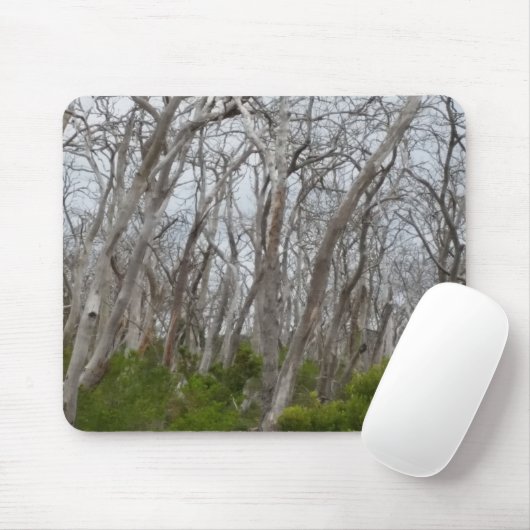 Gedraaide bomen muismat (Met muis)