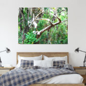 Gedraaide Boom in een Weelderig Bos Canvas Afdruk (Insitu (Slaapkamer))