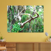 Gedraaide Boom in een Weelderig Bos Canvas Afdruk (Insitu (Woonkamer))