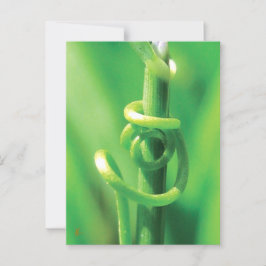 Gedraaide Rank Wijnstok Geliefden in de Natuur  Briefkaart