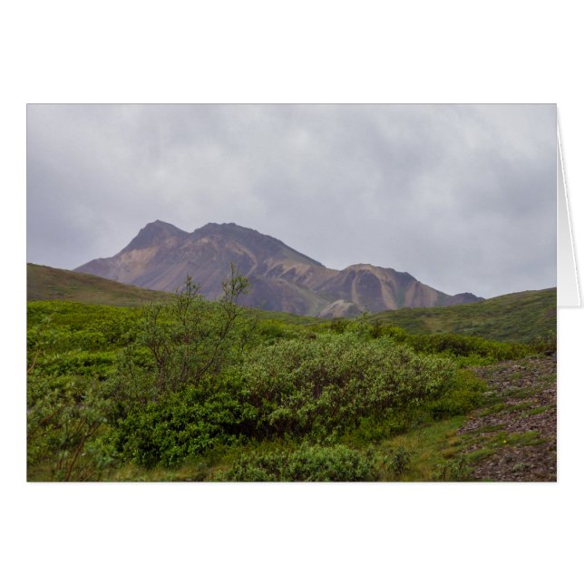 Gedraaide schoonheid in Denali (Voorkant Horizontaal)