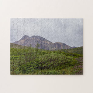 Gedraaide schoonheid in Denali Legpuzzel