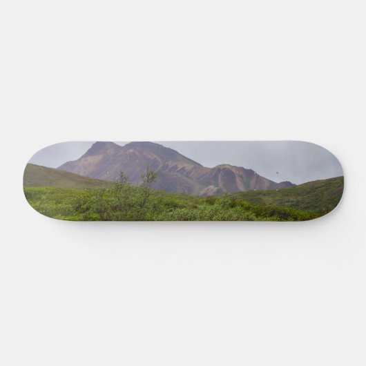 Gedraaide Schoonheid In Denali Skateboard (Horizontaal)