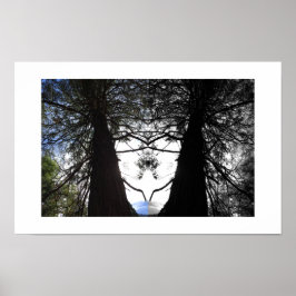 Gedraaide takken Yosemite Reflectie Fotografie Poster