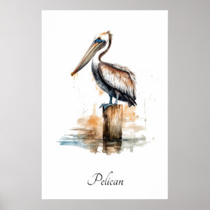 Gedrag van de Pelikaan  Poster
