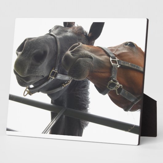 Gedrag voor de grap fotoplaat (Zijkant)