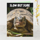 GEDRAGEN BIRTHDAY FUNNY TURTLE Wenskaart Kaart (Gele Bloem)