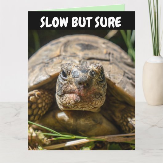 GEDRAGEN BIRTHDAY FUNNY TURTLE Wenskaart Kaart (Voorkant)