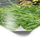 GEDRAGEN EN GEDRAGEN FOTO AFDRUK (Hoek)