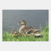 GEDRAGEN EN GEDRAGEN INPAKPAPIER VEL (Voorkant)