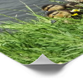 GEDRAGEN EN GEDRAGEN POSTER (Hoek)