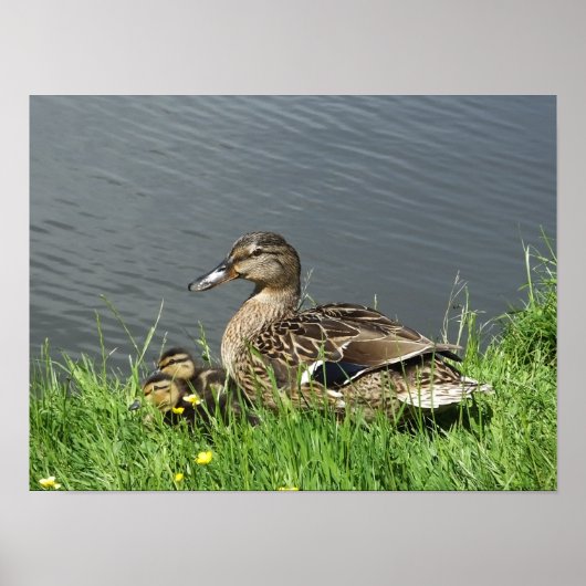 GEDRAGEN EN GEDRAGEN POSTER (Voorkant)