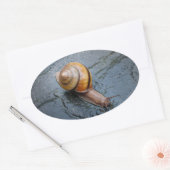 Gedreven slak op een regenachtige dag ovale sticker (Envelop)