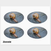 Gedreven slak op een regenachtige dag ovale sticker (Vel)