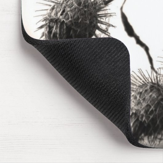 Gedroogd bureau muismat (Hoek)