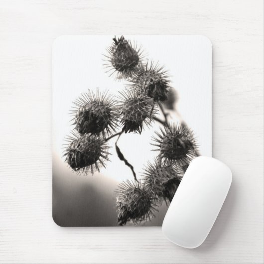 Gedroogd bureau muismat (Met muis)