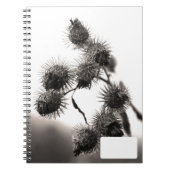 Gedroogd bureau notitieboek (Voorkant)