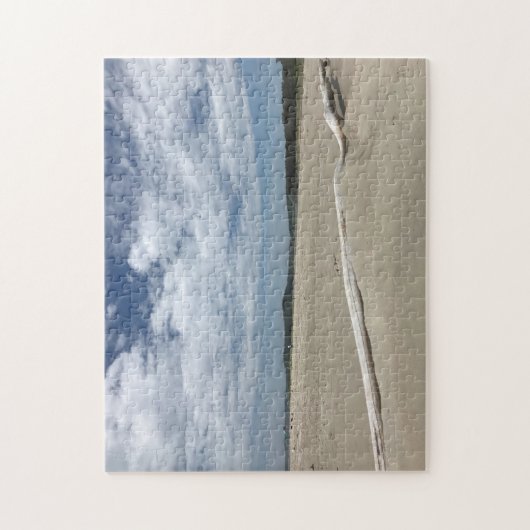 Gedroogd hout op Popham Beach Legpuzzel (Verticaal)