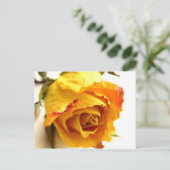 Gedroogd Roos Briefkaart (Staand voorkant)