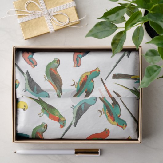 Gedroogd van wolkleurige tropische waterverven tissuepapier (Geschenk)